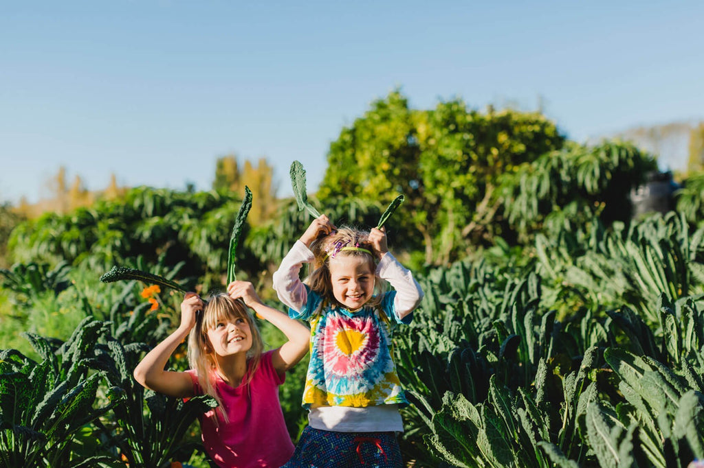 Top Healthy Eating Tips For Kids